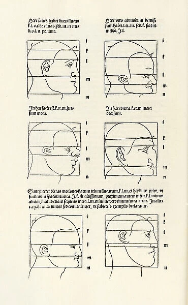 Proportions of the human head from Hierinn sind begriffen vier bucher von