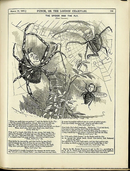 Punch, Satirique en N & B, 1887_3_19: The spider and the fly - English language, Foreign press - Chamberlain Joe Joseph (1836-1914), Araignees - Illustration by Sambourne (1844-1910)