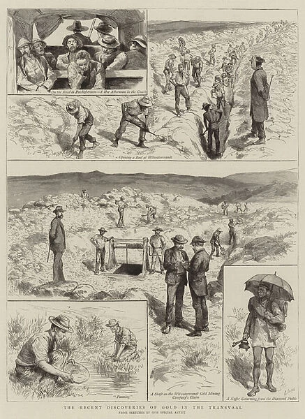 The Recent Discoveries of Gold in the Transvaal (engraving)