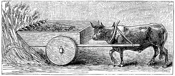 Reconstruction of Ancient Roman reaping cart, as described by Pliny. Aristotle believed that motion was a continuous pushing action, and that objects could only travel in a single direction at any one time, that is, in straight lines, not arcs