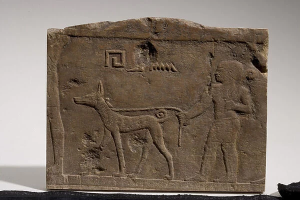 Relief depicting a dwarf and a hunting dog named Ebony, 4th-5th Dynasty