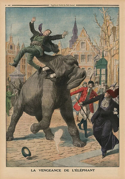 Revenge of an elephant, back cover illustration from Le Petit Journal, supplement illustre