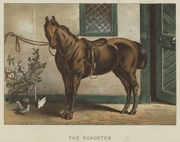The Roadster (colour litho)