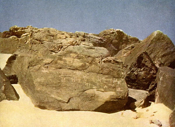 Rock bearing prehistoric heiroglyphics, Egypt
