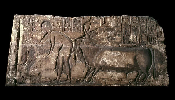 Sandstone block depicting Satepatenkhay presenting a sacrificial bull