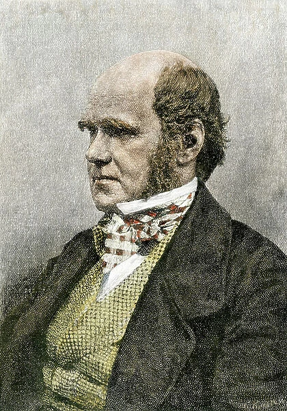 Sciences and Scientists: Portrait of the English naturalist Charles Darwin (1809-1882), London. Colour engraving of the 19th century