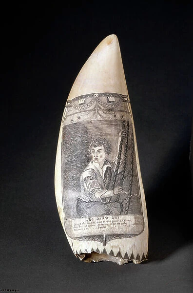 Scrimshaw whale tooth 'The Sailor Boy', mid 19th century (whale tooth)