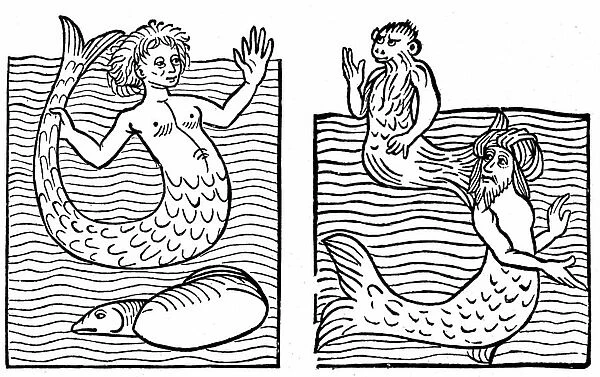 Sea monster, 1491 (engraving)