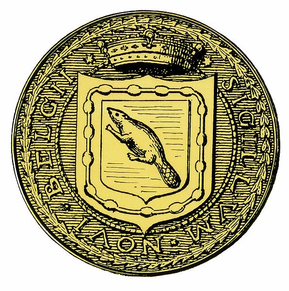 The Seal of the Colonial Province of New Amsterdam, 17th century - Colorized engraving 19th century - Seal of New Netherland - Hand-colored woodcut