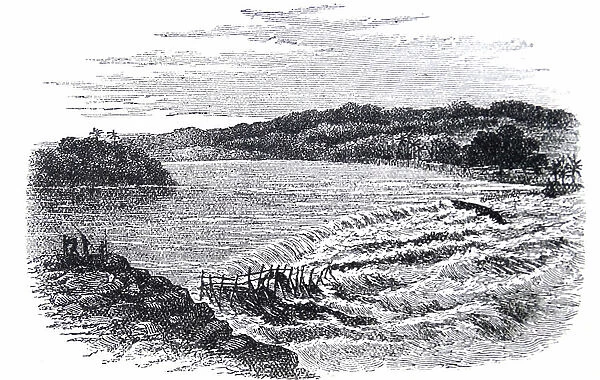 The seventh cataract, Boyoma Falls, formerly Stanley falls, 1873