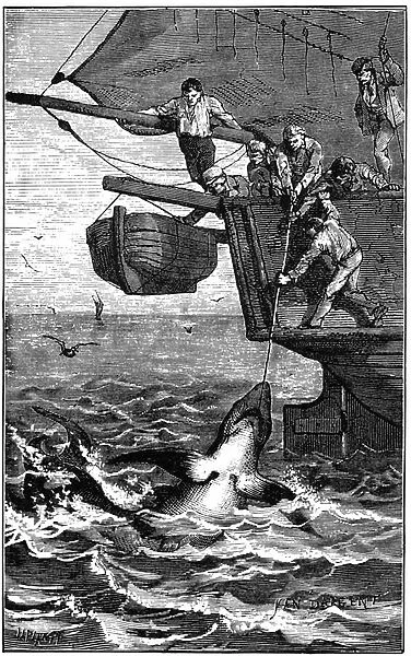 Shark fishing. Engraving 19th by Yan Dargent. A shark came up at the end of a line aboard the boat