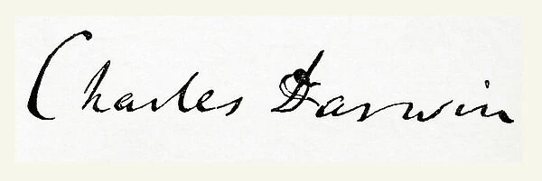 Signature of Charles Robert Darwin, from Meyers Lexicon, pub. 1924 (print)