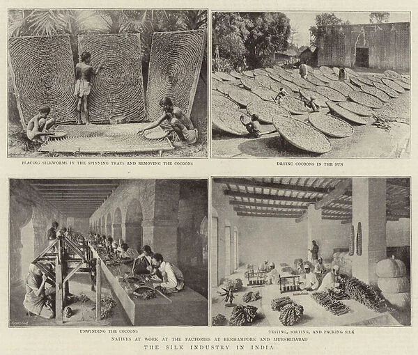 The Silk Industry in India (b  /  w photo)