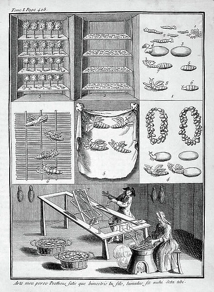 Silk worm cultivation and threading of silk, 1775
