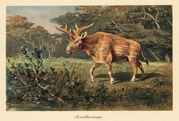 Sivatherium giganteum in a jungle clearing. 1908 (illustration)