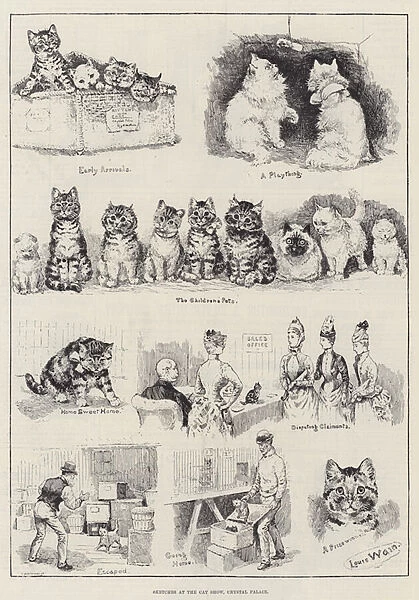 Sketches at the Cat Show, Crystal Palace (engraving)
