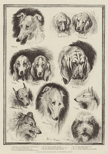 Sketches from the Dog Show at the Crystal Palace (litho)