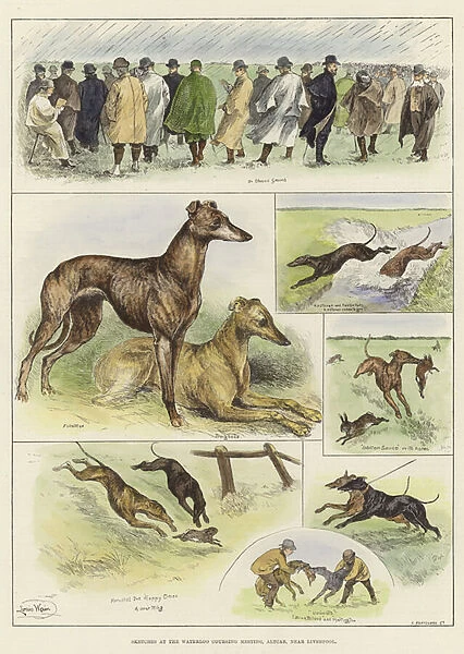 Sketches at the Waterloo Coursing Meeting (coloured engraving)