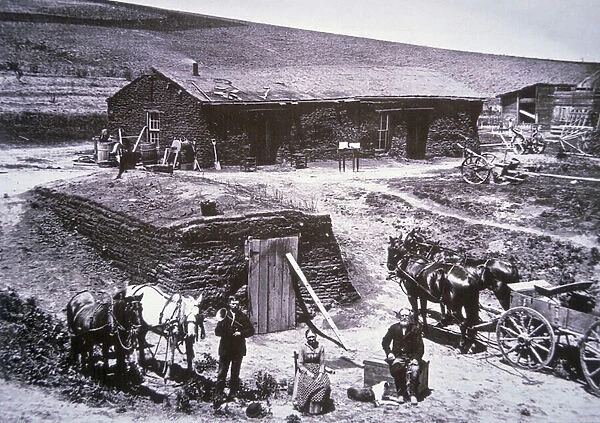 The sod homestead of the Barnes Family, Custer County, Nebraska, 1887 (b  /  w photo)