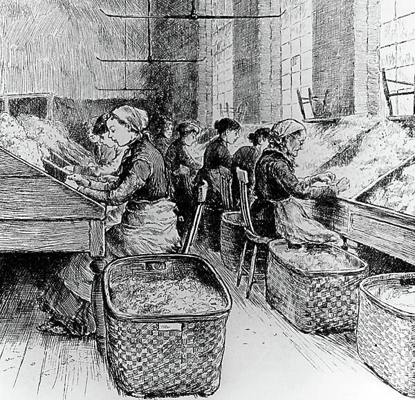 Sorting silk cocoons, 1885