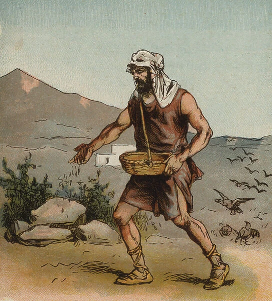 The Sower (colour litho)