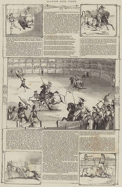 Spanish Bull Fight (engraving)
