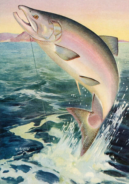 Sport Fishing: Leaping King Salmon, 1950 (colour litho)