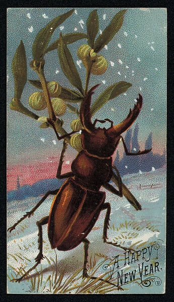 Stag beetle carrying mistletoe in a wintry scene, Christmas greetings card (chromolitho)