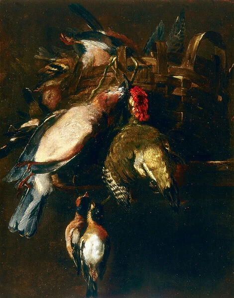 Still-life with cestode, a roller and two finches