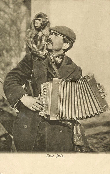 Street accordionist and his monkey (b  /  w photo)