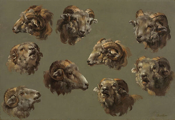 Studies of Ram Heads, 1700s (oil on canvas)