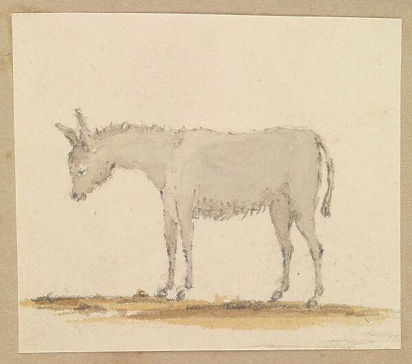 Study of a donkey, c.1820 (pen and ink, wash, watercolour)