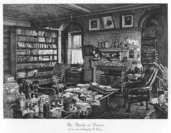 The Study at Down, pub. 1882 (engraving)