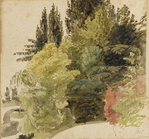 A study of trees in the grounds at Merton Place, 1805 (watercolour, graphite)