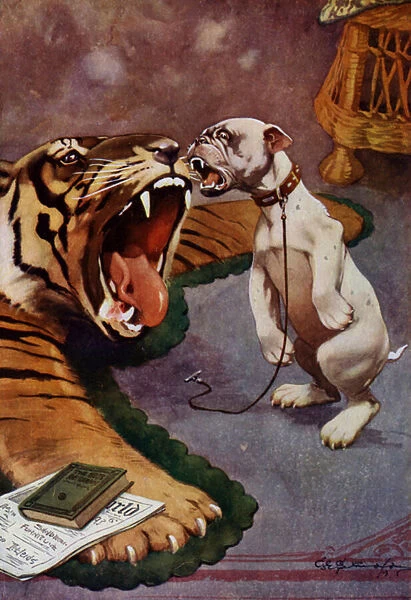 Tiger, Tiger - dog barking at tiger rug (colour litho)