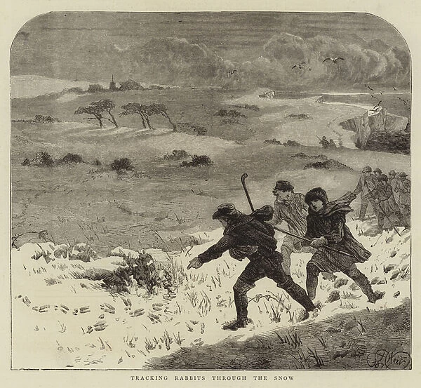 Tracking Rabbits through the Snow (engraving)