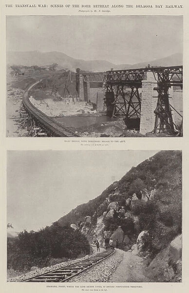 The Transvaal War, Scenes of the Boer Retreat along the Delagoa Bay Railway (b  /  w photo)