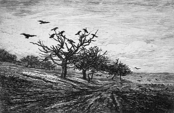 Tree with crows, 1867 (engraving)