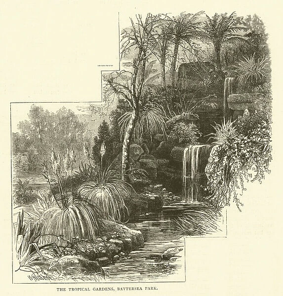 The Tropical Gardens, Battersea Park (engraving)