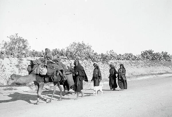 Tunisia, Sfax: A Tunisian family (men, women, children) passes on a road bordered by cactus, 1900