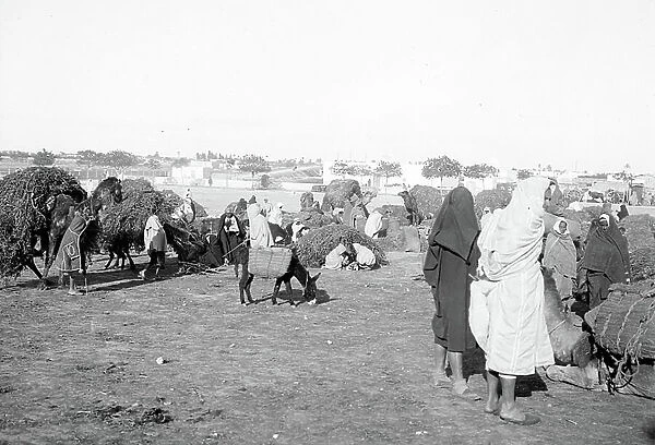 Tunisia, Sfax: Walking at the foot of the walls. Merchants, camels branch loads and mules bag loads, 1900