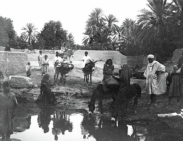 Tunisia, Sfax: Water point, animated view, donkeys, 1900