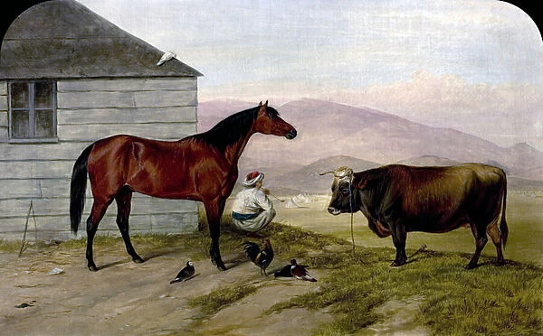 The Turkish Pony Bobby, the Cock from Sebastopol, the Cow from the Valley of Baidar and the Pigeon (... ), 1858 (oil on canvas)