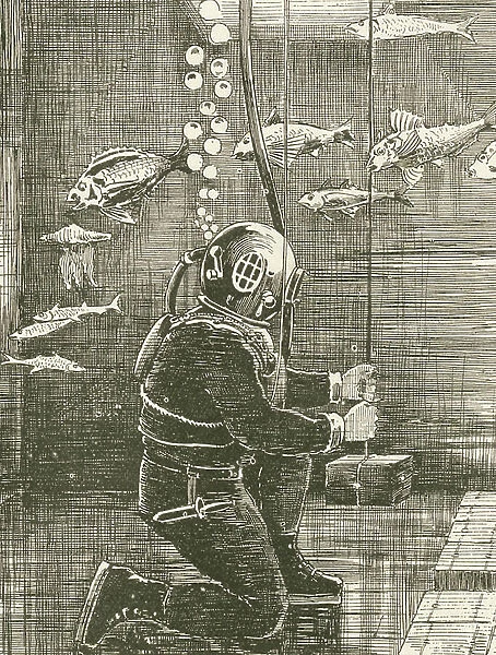 Underwater diver among fishes. 19th century (engraving)