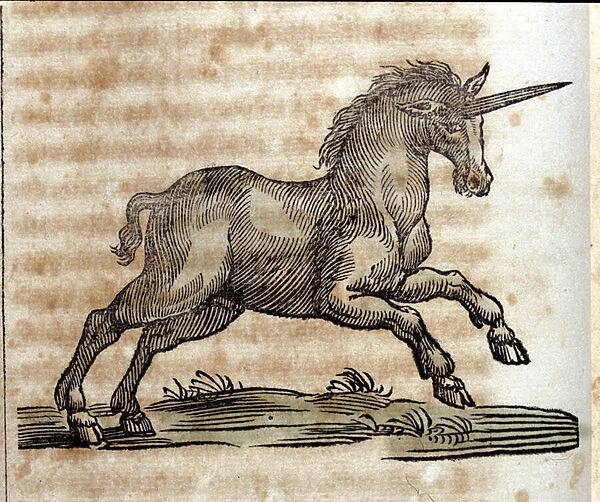 A unicorn or unicorn, mythological animal - Engraving from a work by Athanasius Kircher