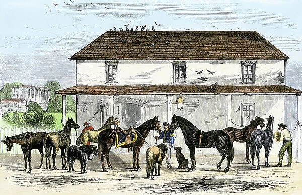 United States, Washington, D.C.: White House Stables with President Grant's horses and his family's pony, 1869. Colour engraving of the 19th century