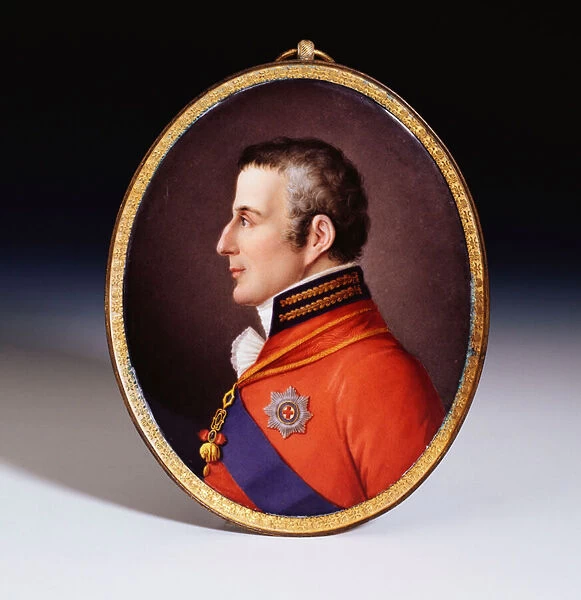 An unrecorded Sevres dated oval portrait plaque of the Duke of Wellington (1769-1852)