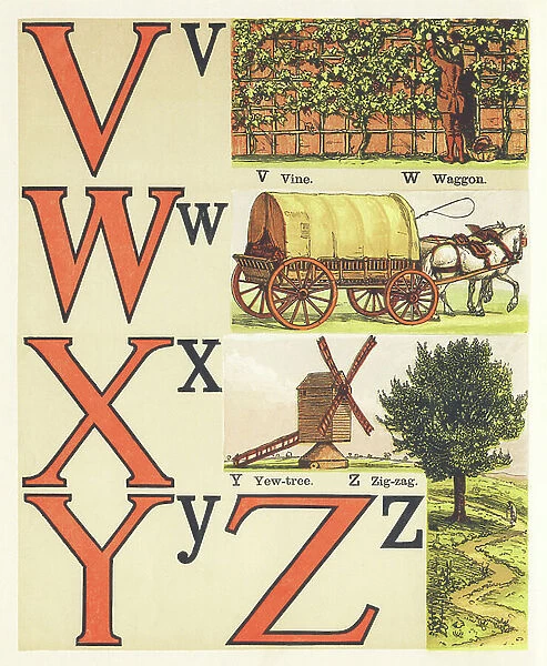 V W X Y Z : vine, waggon, yew-tree, zigzag, 1872 (illustration)