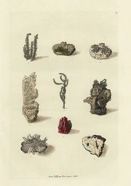 Varieties of gold and silver ores. Handcoloured copperplate drawn and engraved by Georg Wolfgang Knorr from his Deliciae Naturae Selectae of Kabinet van Zeldzaamheden der Natuur, Blusse and Son, Nuremberg, 1771