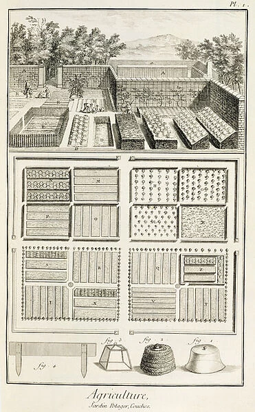 A vegetable garden, from The Encyclopedia of Science